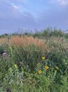 IMG_5080.jpeg