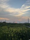 IMG_5083.jpeg