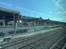 IMG_3637.jpeg