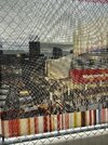IMG_2243.jpeg
