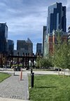 IMG_7407.jpeg