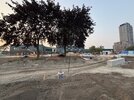IMG_4308.jpeg