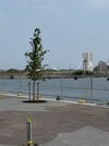 IMG_2723.jpeg