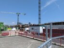 PXL_20250809_162444677.jpg
