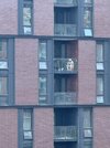 IMG_1398.jpeg