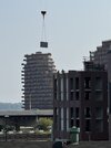 IMG_2028.jpeg