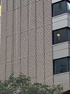IMG_6567.jpeg