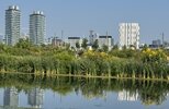IMG_1689.jpeg