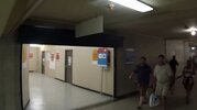 IMG_3480.jpeg