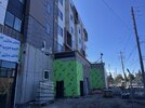 IMG_3930.jpeg