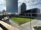 IMG_0116.jpeg