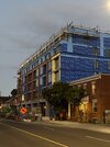 IMG_4069.jpeg