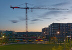 IMG_6727exp.jpg