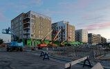 IMG_6649exp.jpg
