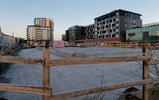 IMG_6350exp.jpg