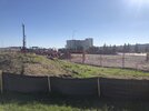 IMG_5391.jpeg