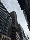 IMG_6705.jpeg