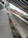 IMG_9052.jpeg