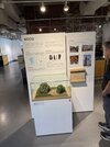 IMG_2973.jpeg