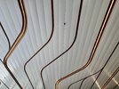 IMG_2163.jpeg