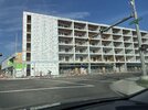 IMG_0103.jpeg