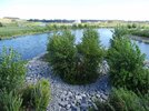 DSC06014a.JPG