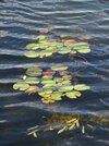 DSC06056a.JPG