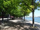 DSC05775.JPG