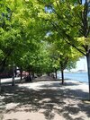 DSC05776.JPG