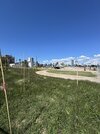 IMG_3218.jpeg