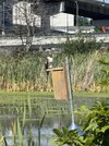 IMG_3238.jpeg