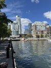 IMG_3163.jpeg