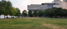 1756923411213.png