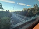 IMG_0672.jpeg