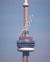 IMG_2471.jpeg