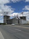 IMG_3427.jpeg