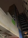 IMG_6608.jpeg