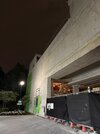 IMG_6606.jpeg