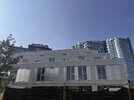 IMG_3984.jpeg