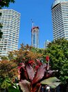 20250905_131459.jpg