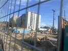 IMG_3155.jpeg