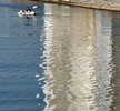IMG_2877.jpeg