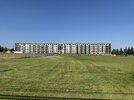IMG_8299.jpeg