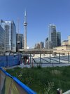 IMG_3537.jpeg