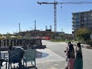 IMG_5224.jpeg