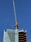 IMG_2951.jpeg