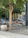 IMG_2940.jpeg