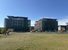 IMG_5207.jpeg