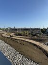 IMG_3798.jpeg