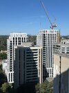 IMG_8003.jpeg